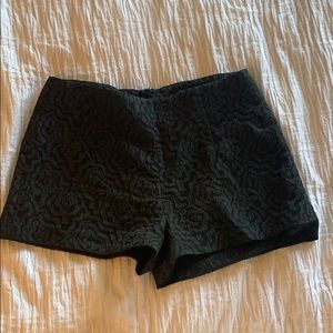 Black Rose Pattern Zara Shorts